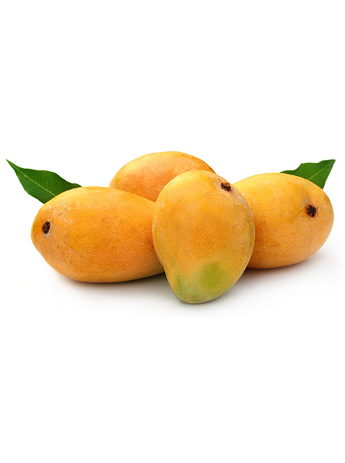 Ripe Mango