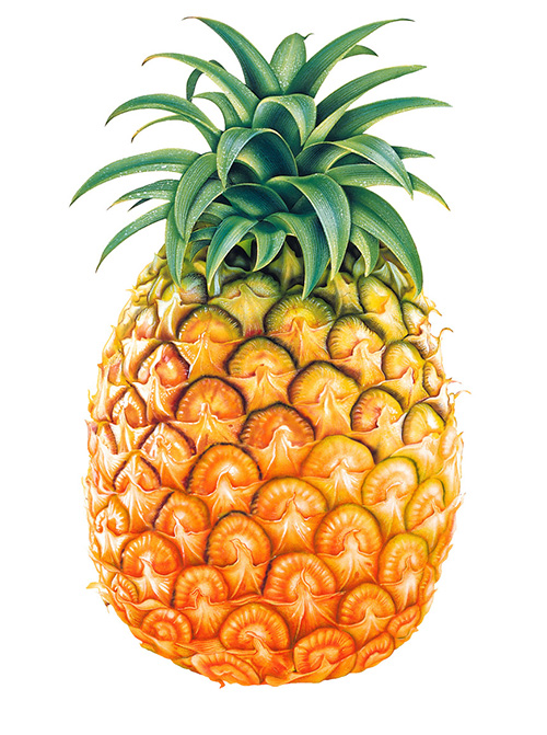Pineapple