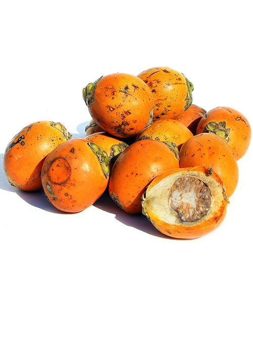 Bettel Nut
