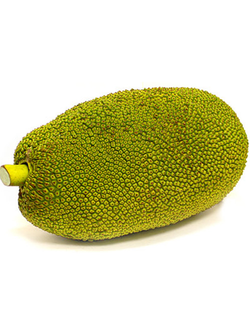 Jackfruit