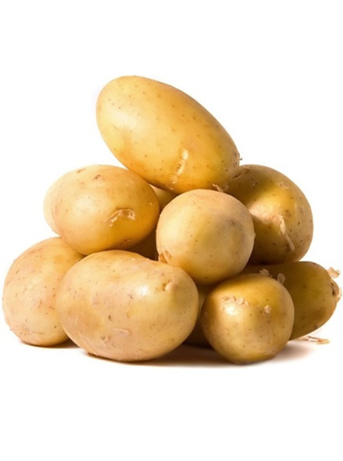 Potato