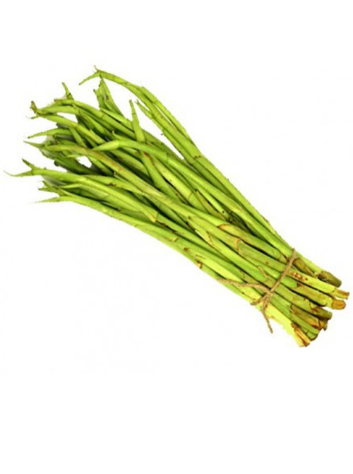 Kachur Lati