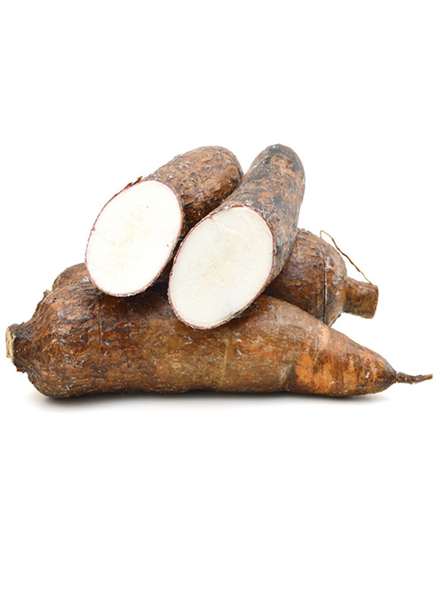 Cassava