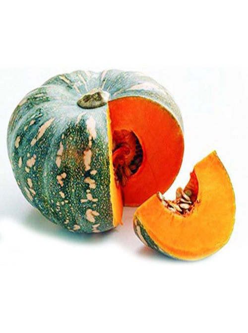Sweet Gourd / Misti Kumra